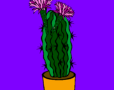 Disegno Cactus fioriti pitturato su alice