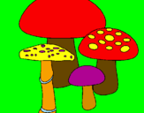 Disegno Funghi pitturato su Eleonora