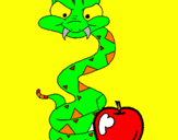 Disegno Serpente con la mela  pitturato su sara