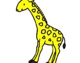 Disegno Giraffa  pitturato su FABIOLA