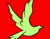 Disegno Colomba della pace in volo pitturato su ALICE