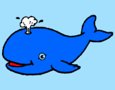 Disegno Balena che spruzza  pitturato su antonio