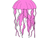 Disegno Medusa  pitturato su edoardo