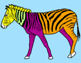 Disegno Zebra  pitturato su gaia