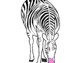 Disegno Zebra  pitturato su Raffaele