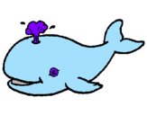 Disegno Balena che spruzza  pitturato su junjie