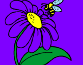 Disegno Margherita con ape  pitturato su ginny