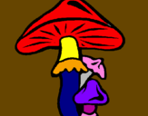 Disegno Funghi pitturato su merylinda