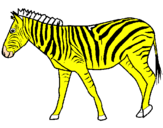 Disegno Zebra  pitturato su FLAVIA2006