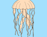 Disegno Medusa  pitturato su lorenzo