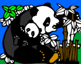 Disegno Mamma panda  pitturato su titti