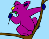 Disegno Koala  pitturato su ale