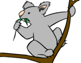 Disegno Koala  pitturato su penghi