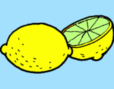 Disegno limone  pitturato su ZAHRA