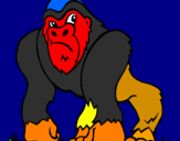 Disegno Gorilla pitturato su nicola