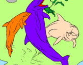 Disegno Delfini che giocano  pitturato su Trong1