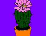 Disegno Cactus fiorito  pitturato su bbbbbbbbbbbbbbb