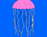 Disegno Medusa  pitturato su emmachiara