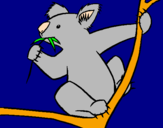 Disegno Koala  pitturato su a