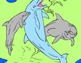 Disegno Delfini che giocano  pitturato su MELITA GIANMAR