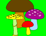 Disegno Funghi pitturato su robery