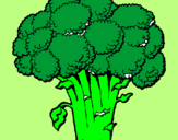 Disegno Broccoli  pitturato su sara baddy B.A.