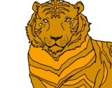 Disegno Tigre pitturato su giulia