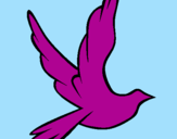 Disegno Colomba della pace in volo pitturato su chicca
