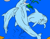Disegno Delfini che giocano  pitturato su Daniele