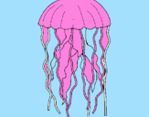 Disegno Medusa  pitturato su lorenzo