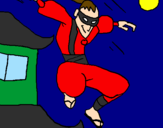 Disegno Ninja II pitturato su christian5