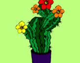 Disegno Fiori di cactus  pitturato su gea