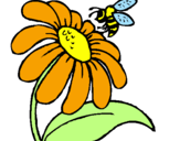 Disegno Margherita con ape  pitturato su sara