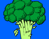 Disegno Broccoli  pitturato su Giuseppe