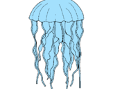 Disegno Medusa  pitturato su matteo