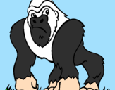 Disegno Gorilla pitturato su VALERIO 6 ANNI