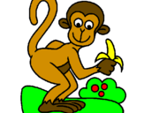 Disegno Scimmietta  pitturato su lucreza