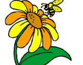 Disegno Margherita con ape  pitturato su laura