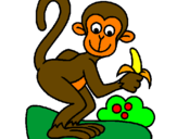 Disegno Scimmietta  pitturato su FRANCI