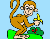 Disegno Scimmietta  pitturato su veronica