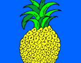 Disegno ananas  pitturato su Bott