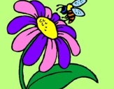 Disegno Margherita con ape  pitturato su michy