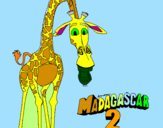 Disegno Madagascar 2 Melman pitturato su AARON