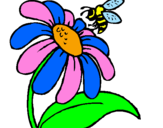 Disegno Margherita con ape  pitturato su fiorellino
