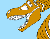 Disegno Scheletro di Tyrannosaurus rex pitturato su Yasmin