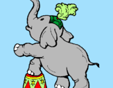 Disegno Elefante  pitturato su sara