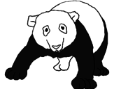 Disegno Orso panda  pitturato su ANTONIO CARBONE