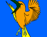 Disegno Uccello ribelle  pitturato su francesco