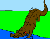 Disegno Alligatore che entra nell'acqua  pitturato su paolo