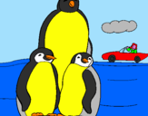 Disegno Famiglia pinguino  pitturato su federico